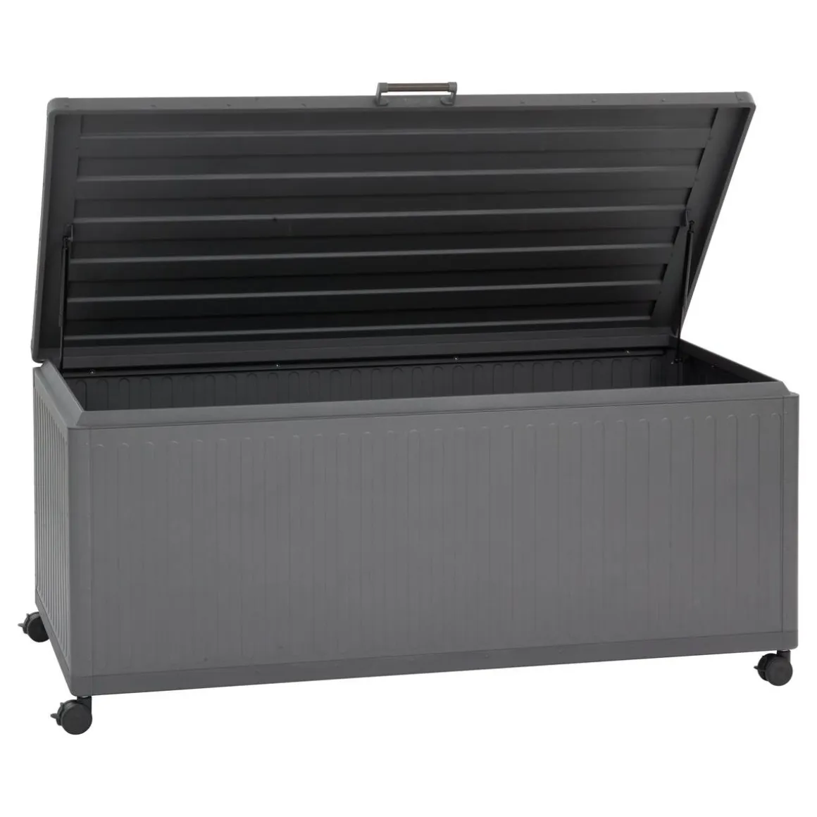 Coffre de rangement EDENIO Graphite