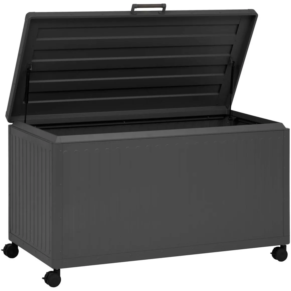 Coffre de rangement EDENIO Graphite