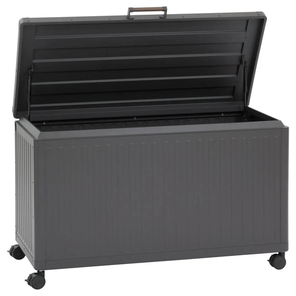 Coffre de rangement EDENIO Graphite