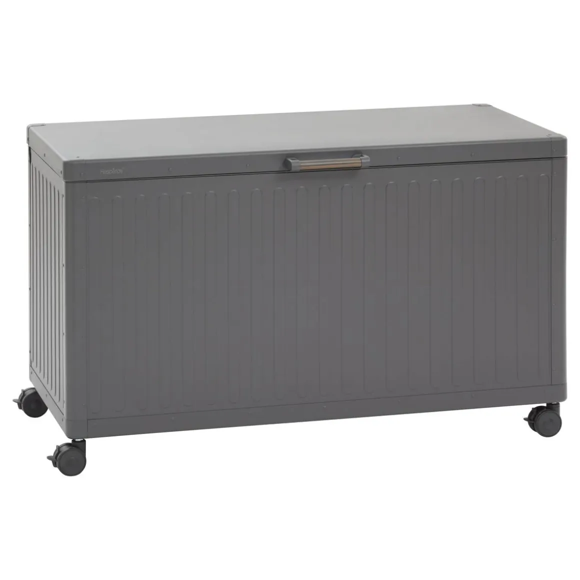Coffre de rangement EDENIO Graphite