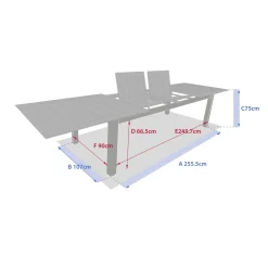 Ensemble table de jardin extensible MICEIRA + 10 fauteuils empilables DIESE Graphite