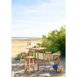 Lot de 2 tabourets hauts de jardin TIWI Acacia