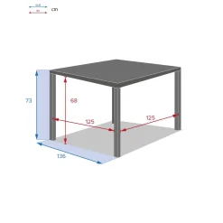 Table de jardin carrée PIAZZA Graphite