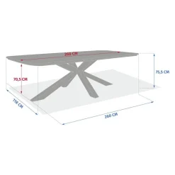 Table de jardin rectangulaire ORACLION Noix / Graphite