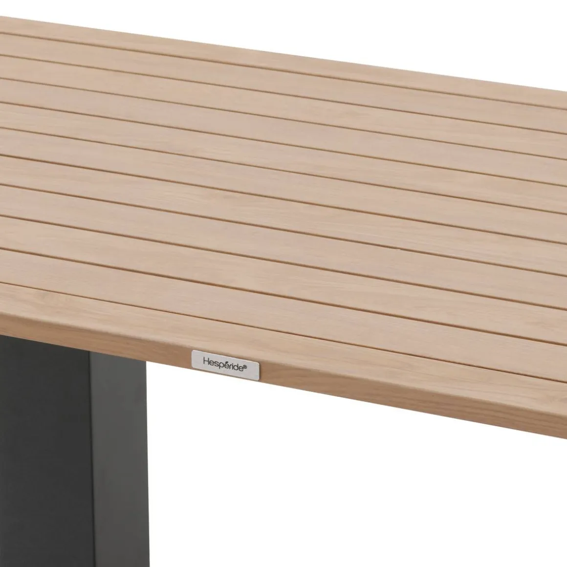 Table de jardin relevable rectangulaire SALIMIA Graphite & Honey